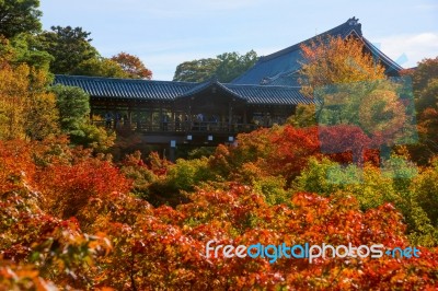 People Visit Tofuku-ji Temple Stock Photo