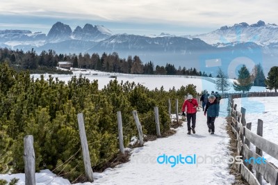 People Walking On The Alp In Rinderplatz Pasture In South Tyrol Stock Photo