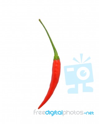 Pepper Stock Photo