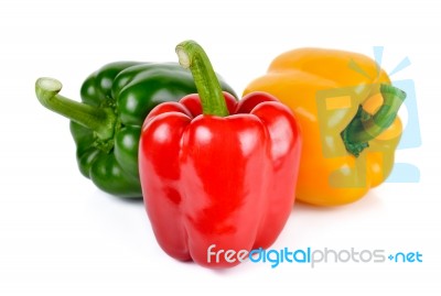 Pepper Isolated On The White Background Stock Photo