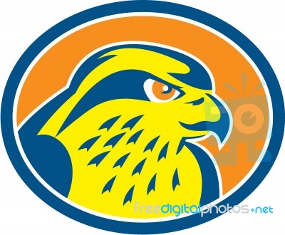 Peregrine Falcon Head Circle Retro Stock Image