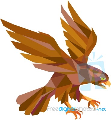 Peregrine Falcon Swooping Low Polygon Stock Image