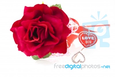 Perfect Red Rose Isolated On White Stock Photo