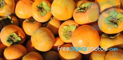 Persimmon Fruit Stock Photo