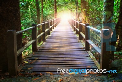 Perspective Of Wood Bridge In Deep Forest Crossing Water Stream Stock Photo