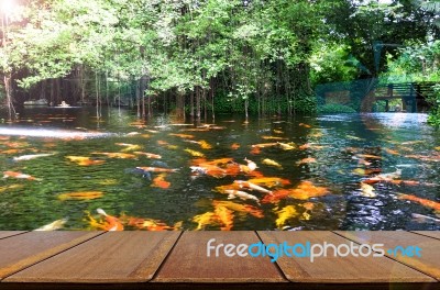 Perspective Wood View With Backyard Koi Fish Pond Background Stock Photo