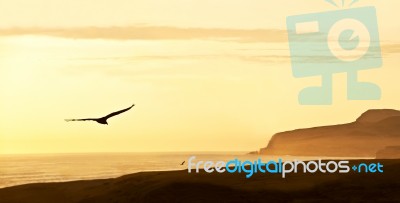 Peruvian Coastline, Paracas National Reserve, Peru Stock Photo