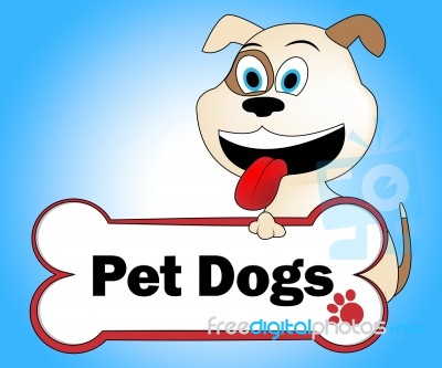 Pet Dogs Means Domestic Animal And Canine Stock Image