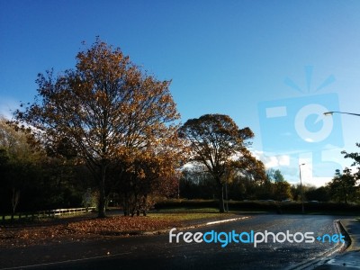 Peterborough In Autumn Stock Photo