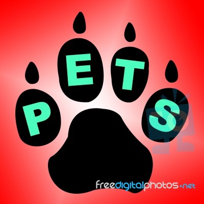 Pets Paw Means Domestic Animal And Breed Stock Image