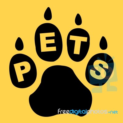 Pets Paw Shows Domestic Animal And Creature Stock Image