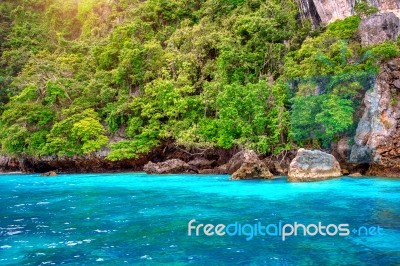 Phi Phi Island, Krabi Thailand Stock Photo