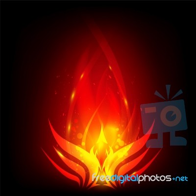 Phoenix In Fire Stock Image