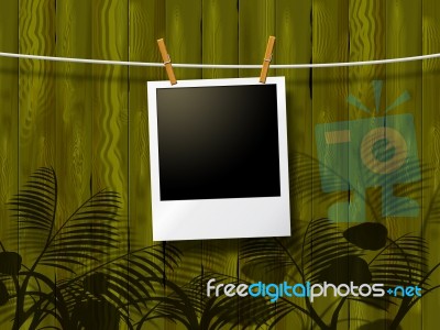 Photo Frames Means Blank Space And Background Stock Image