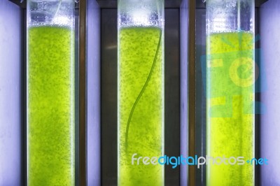 Photobioreactor In Lab Algae Fuel Bio-fuel Stock Photo