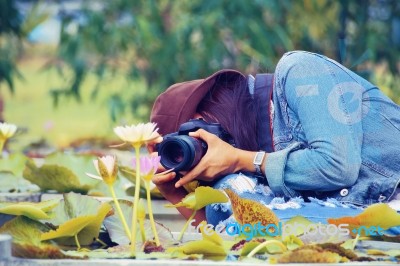 Photographer Stock Photo