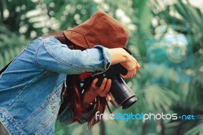 Photographer Stock Photo