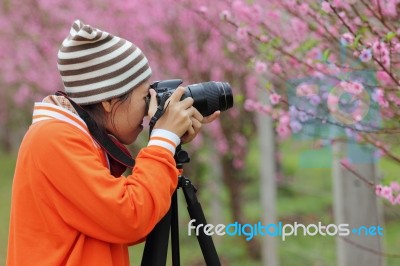 Photographer Stock Photo