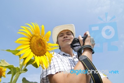 Photographer Man And Sun Flower Stock Photo