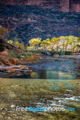 Photographers Walking Along The Virgin River Stock Photo