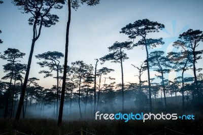 Phu Soi Dao Stock Photo