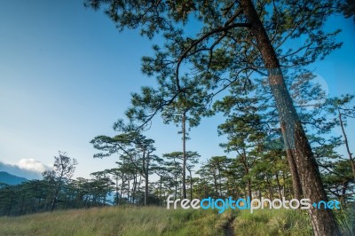 Phu Soi Dao Stock Photo