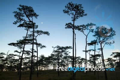 Phu Soi Dao Stock Photo