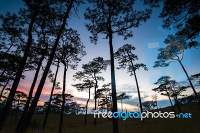 Phu Soi Dao Stock Photo