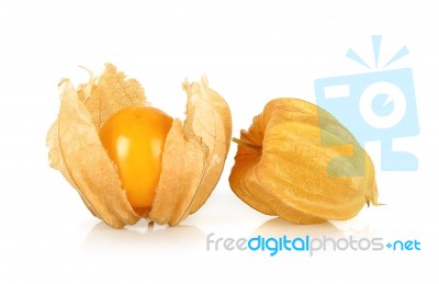 Physalis Fruit Isolated On The White Background Stock Photo