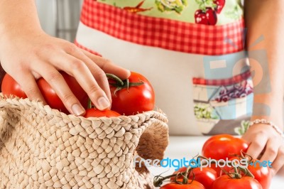 Picking Tomatoes Stock Photo