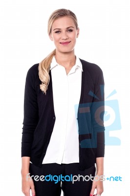 Picture Of Elegant Business Woman Stock Photo