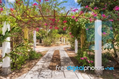 Picturesque Entrance To The Garden Located Near Ocu In Panama Stock Photo