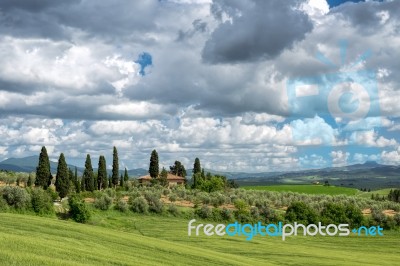 Pienza, Tuscany/italy - May 19 : View Of A Farm Near Pienza In T… Stock Photo