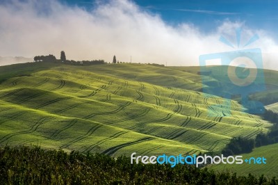 Pienza, Tuscany/italy - May 22 : Mist Rolling Through Val D'orci… Stock Photo