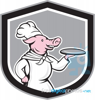 Pig Chef Cook Holding Dish Cartoon Stock Image