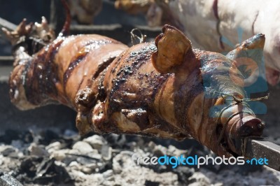 Pig On Spit Stock Photo