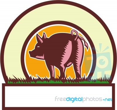 Pig Tail Rear Circle Woodcut Stock Image