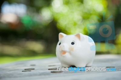 Piggy Bank Stock Photo