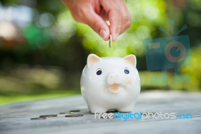 Piggy Bank Stock Photo