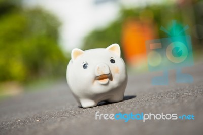 Piggy Bank Stock Photo