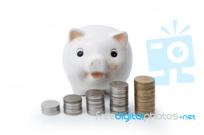 Piggy Bank Stock Photo