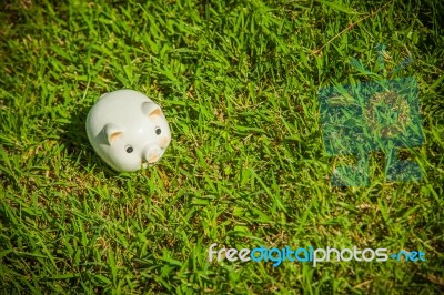 Piggy Bank Stock Photo