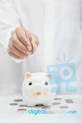 Piggy Bank Stock Photo