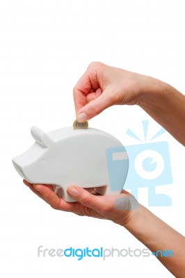 Piggy Bank Stock Photo