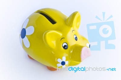 Piggy Bank Stock Photo