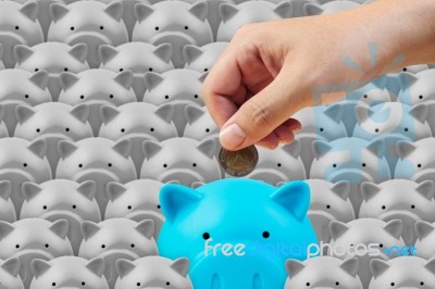 Piggy Bank And Hand, Saving Finance Concept Stock Photo