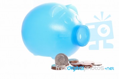 Piggy Bank With Coins  Stock Photo