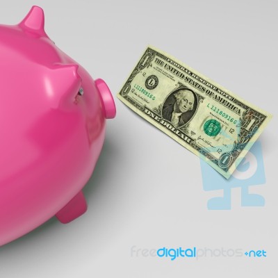 Piggy Dollars Shows Money Savings And Wealth Stock Image