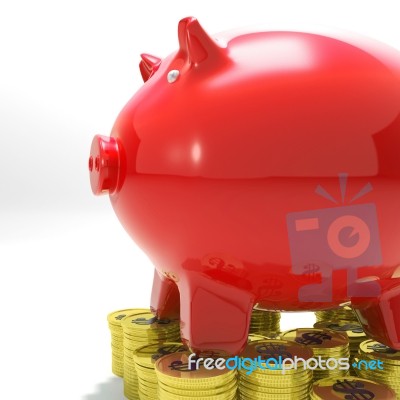 Piggybank On Coins Shows Financial Balance Stock Image