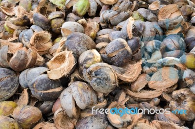 Pile Of Coconut Shell Stock Photo